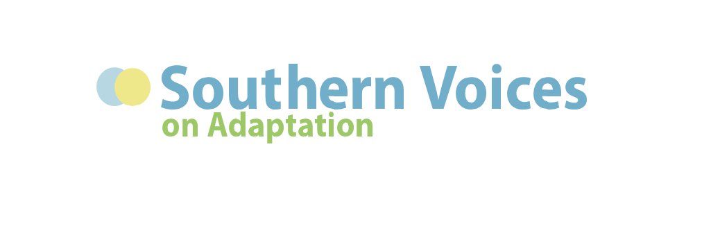 Southern Voices banner
