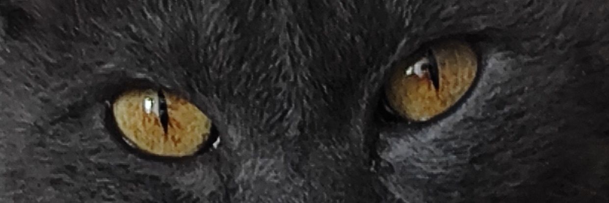 IawaV's profile banner image