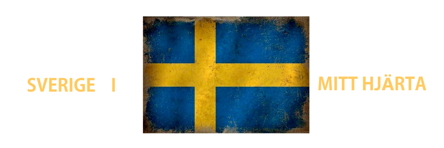 Invandraremensv's profile banner image