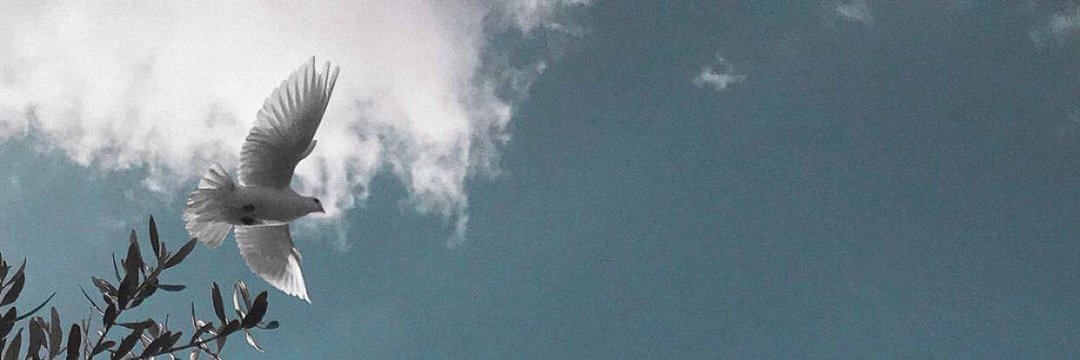 A_Fkw1's profile banner image