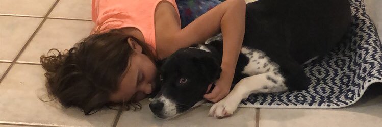 Kaylamatic87's profile banner image
