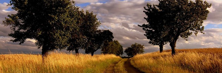 mabstir's profile banner image
