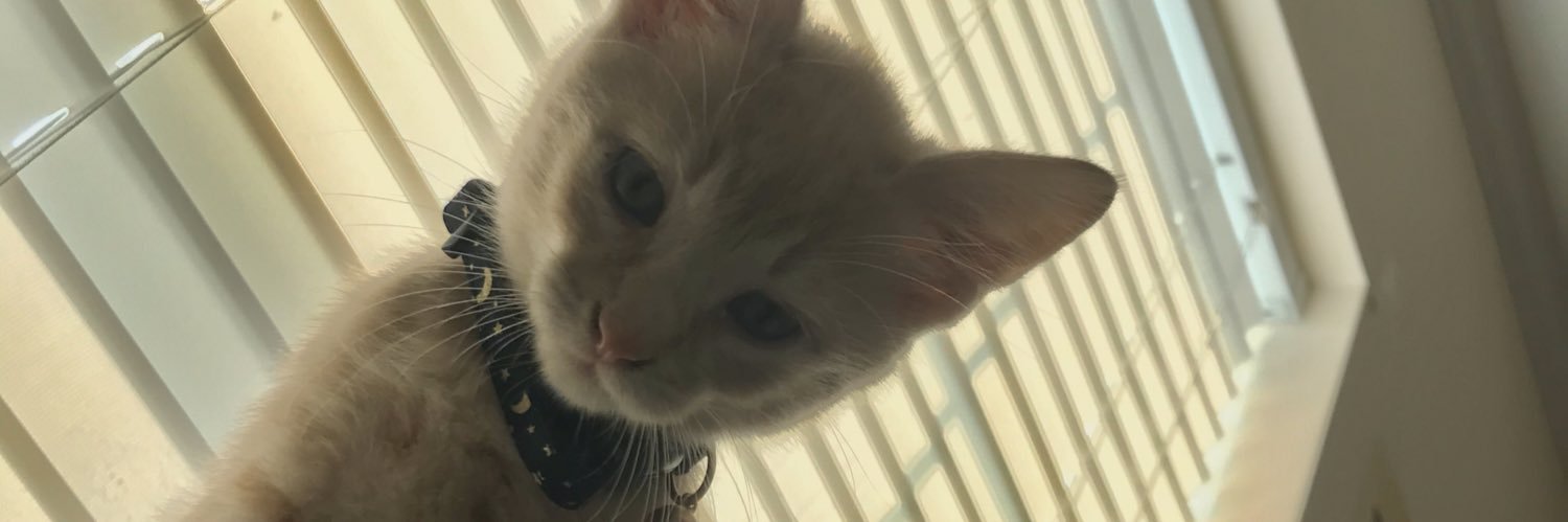 pickeri7's profile banner image