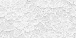 chxkcn's profile banner image