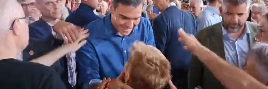 Concepcion Almecija banner