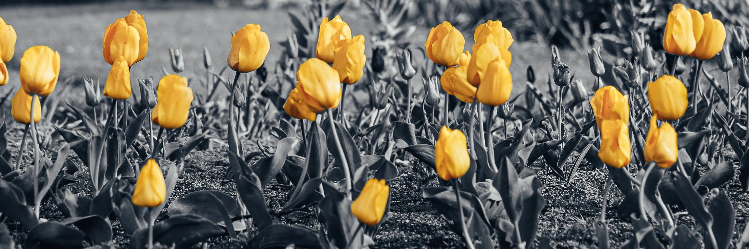 Daniel Uricoechea Percy banner