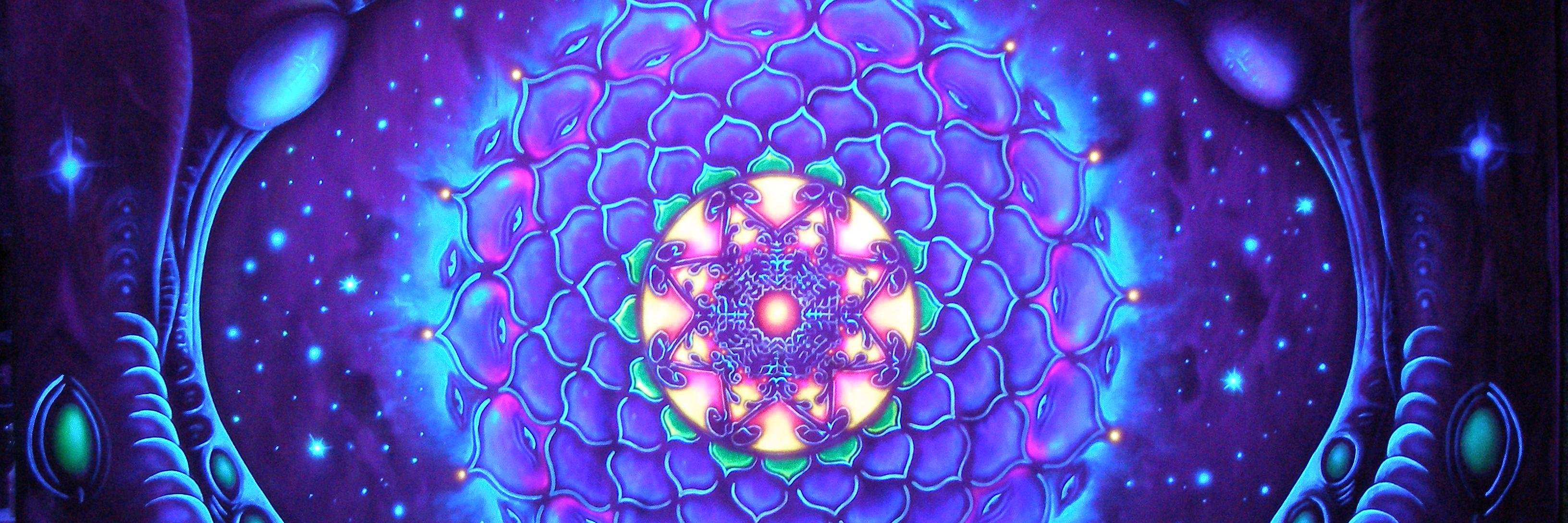 Triniti Burton banner