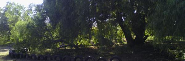 PttAltafulla's profile banner image