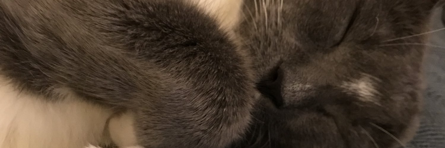 chronicallyKJ's profile banner image