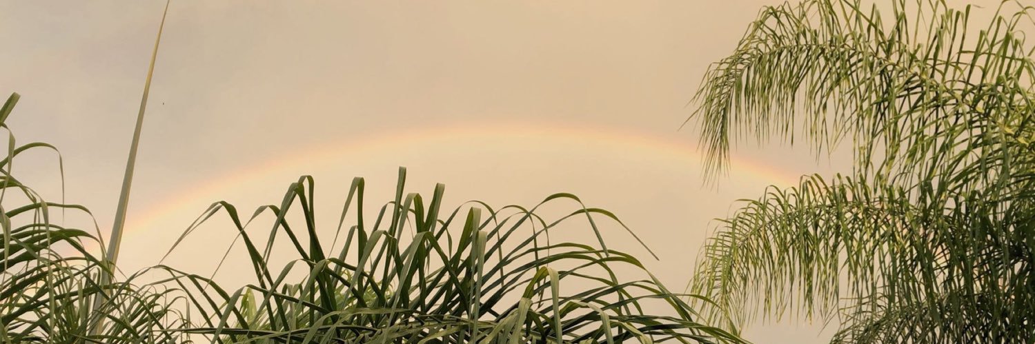 DFish49's profile banner image