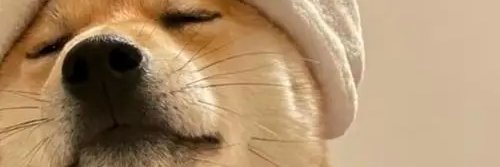 AlphaHunterX 🔆 banner