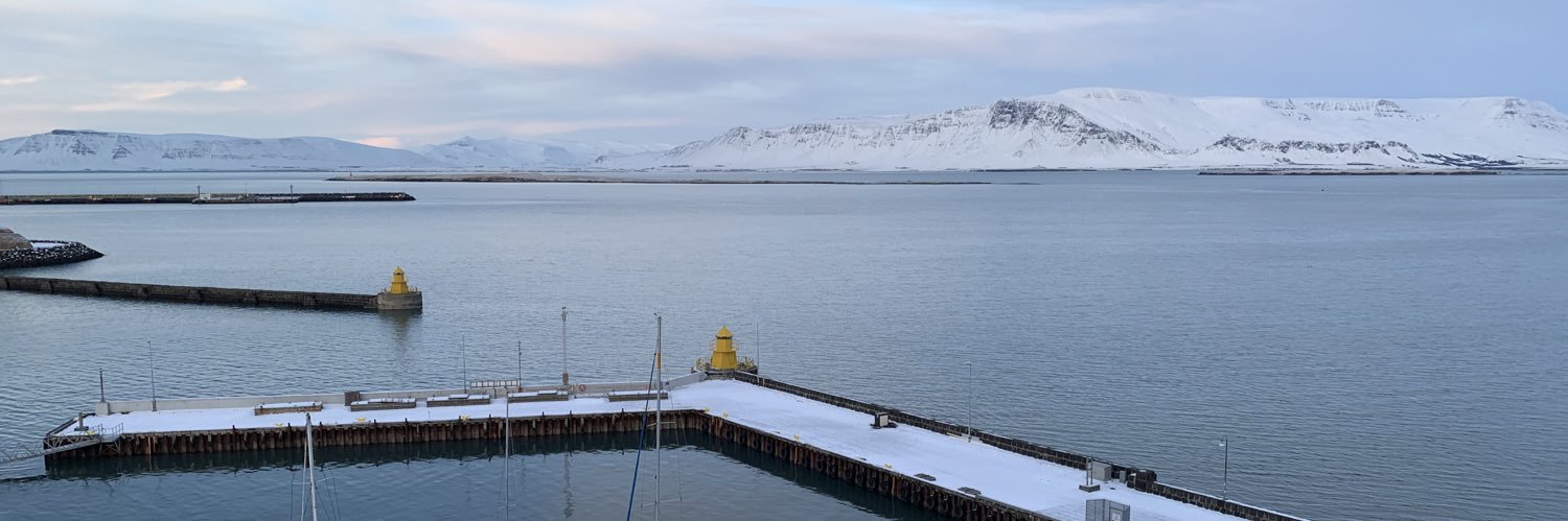 Þórdís Erla banner