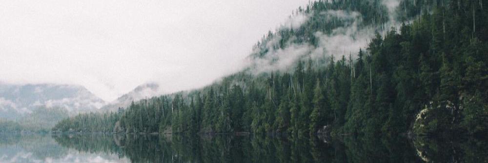 _philipahn's profile banner image