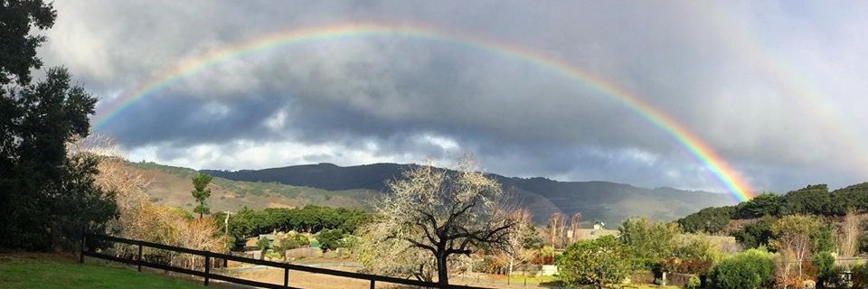 ConstantTim's profile banner image