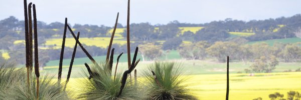 SEK_Consulting Profile Banner