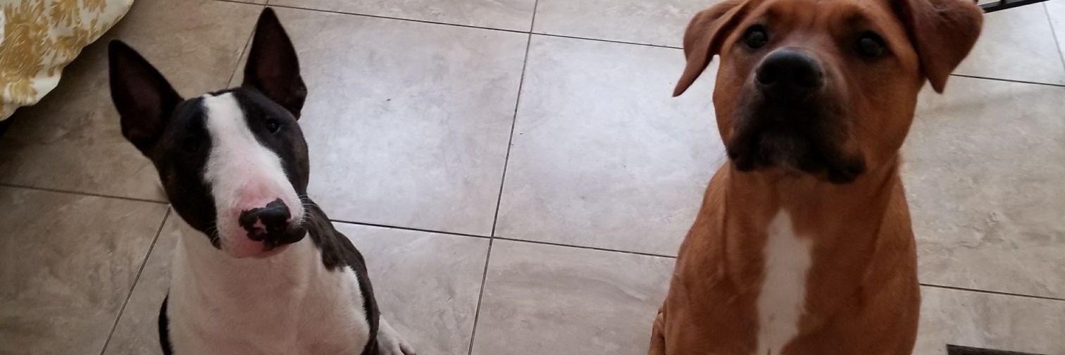 takkman31's profile banner image