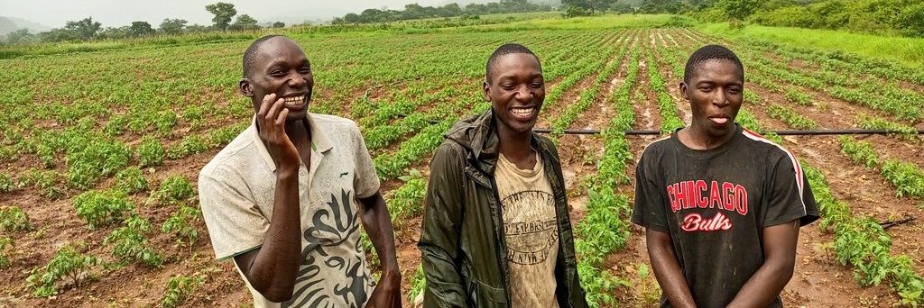 Farmbuzz Agriculture banner