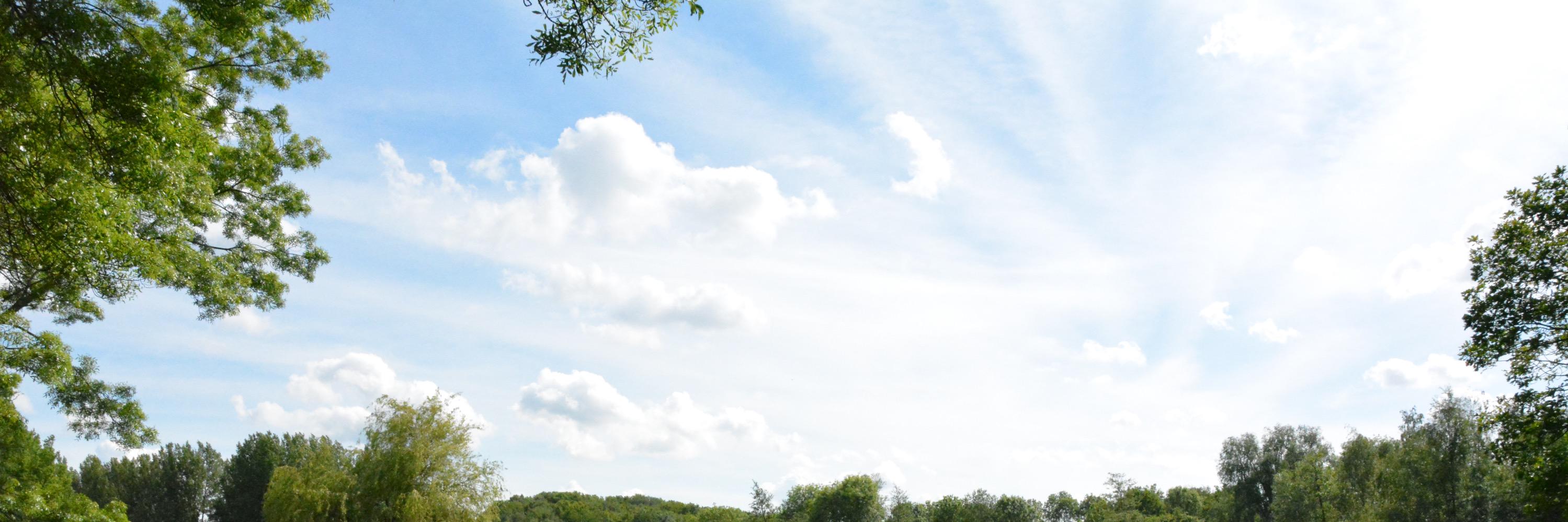 RaphaelKl1's profile banner image