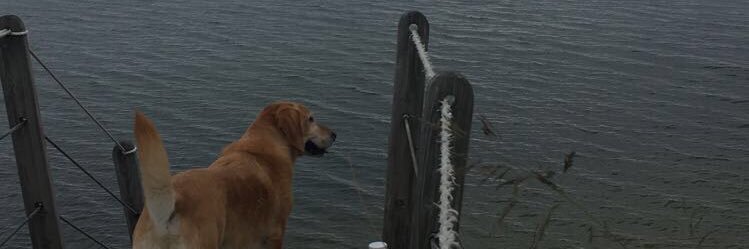 Maddie809_'s profile banner image