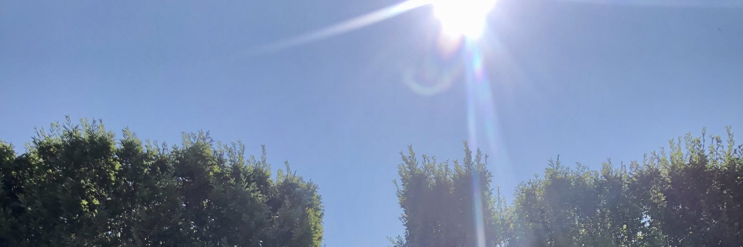 nevercanyouever's profile banner image