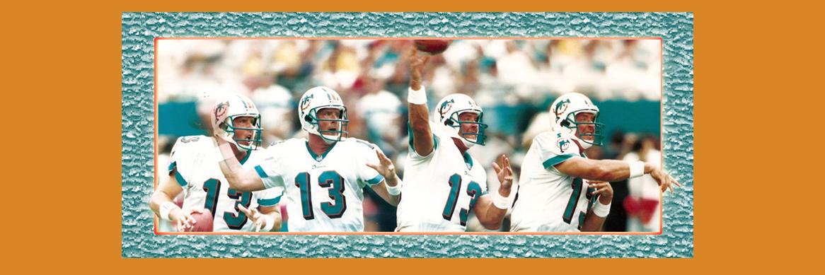 MiamiDolphinsRT's profile banner image