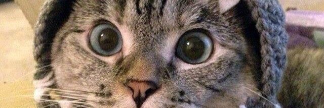 Lizzi_stone's profile banner image