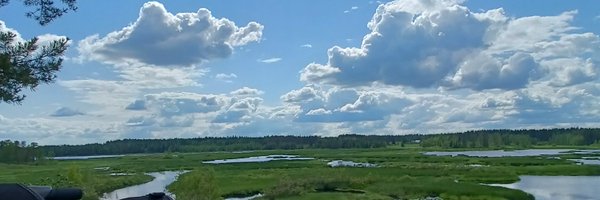 ronjasusann Profile Banner