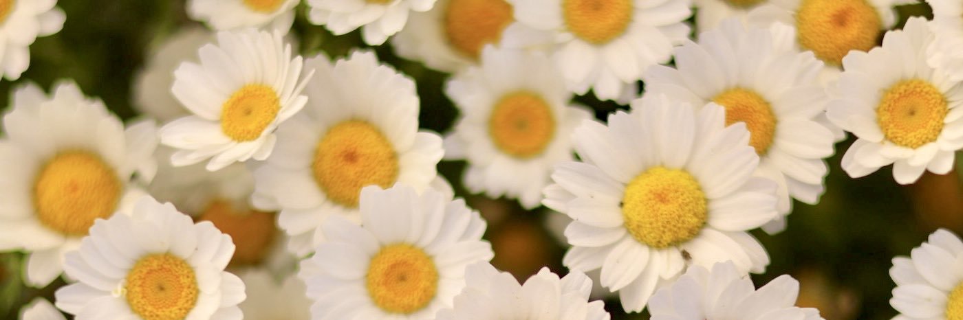 yumeri_design's profile banner image