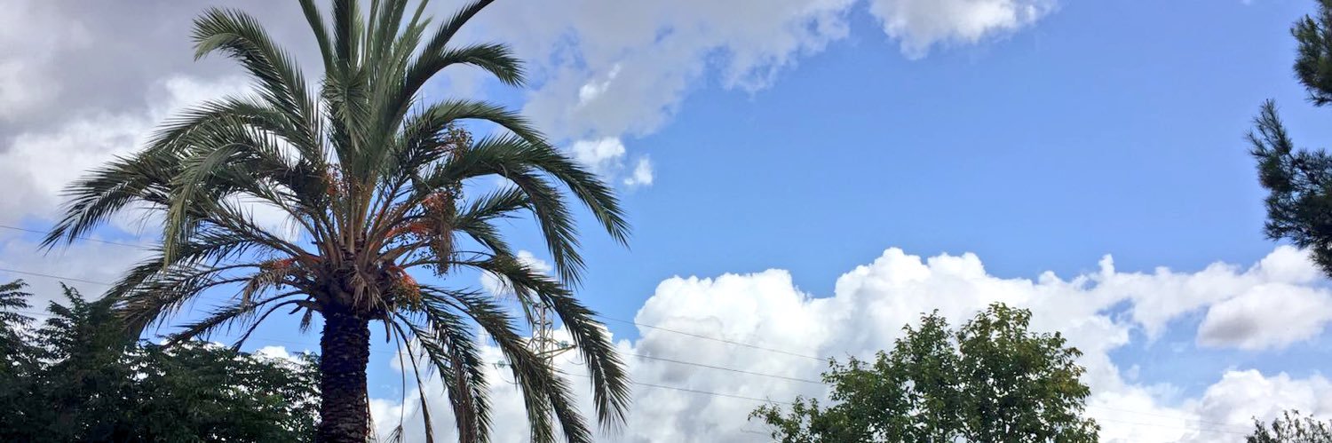 MallorcaERdoc's profile banner image