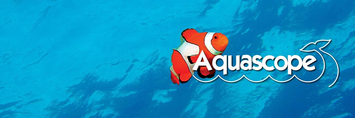 Aquascope banner