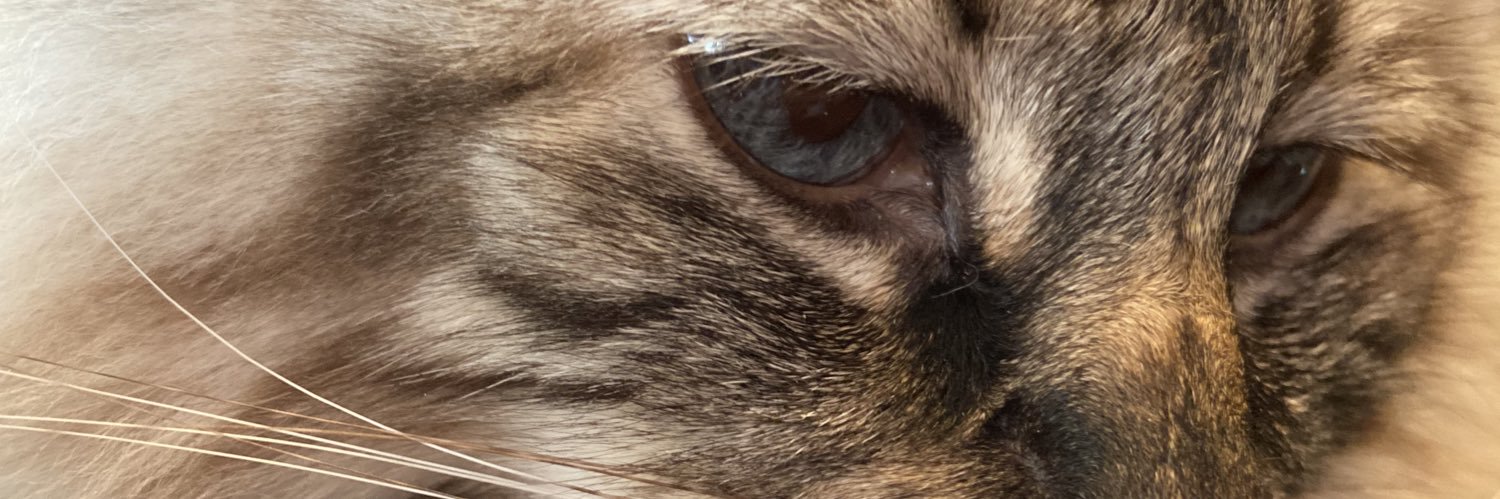 HRodg's profile banner image