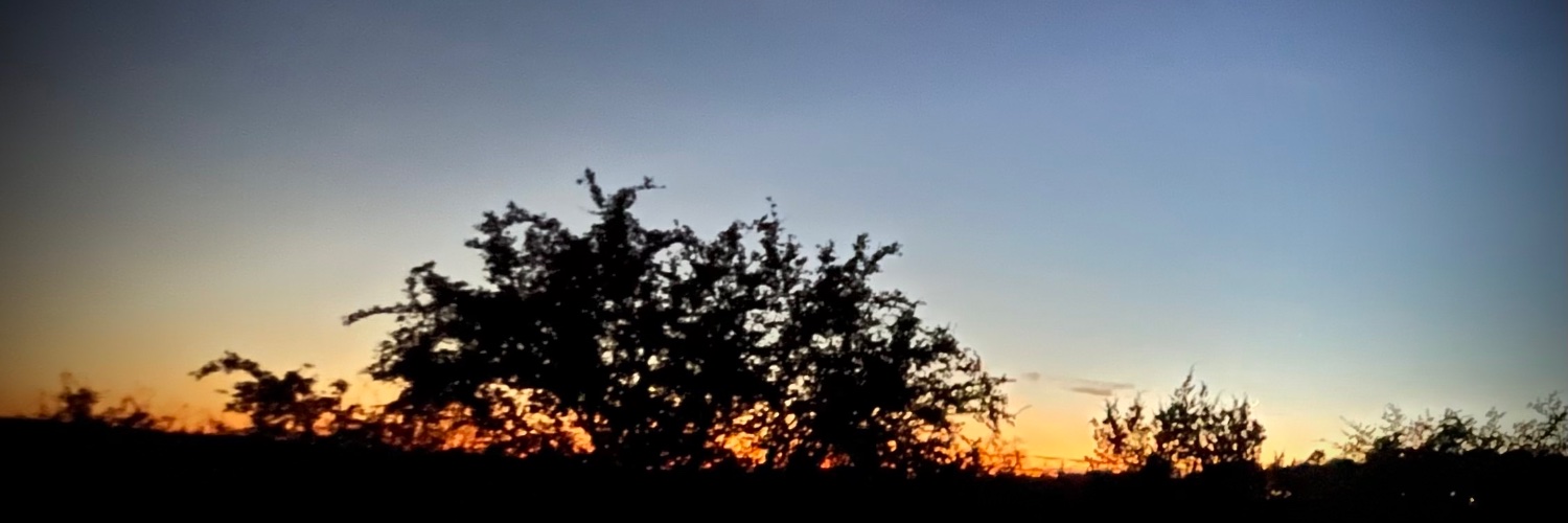 Aj banner