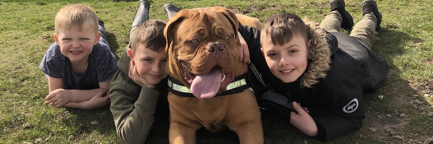 Priscilla Poole banner