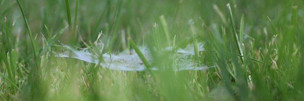 g0blinResearch Profile Banner