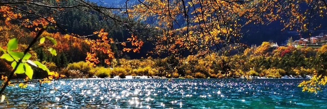 Visit Sichuan-China 的个人资料封面