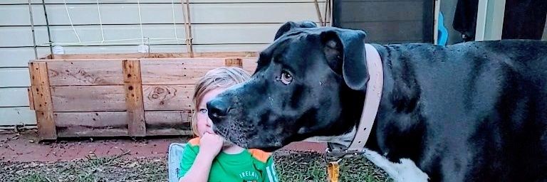 niamhtroy's profile banner image
