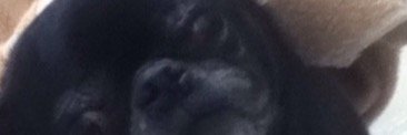 hrmcder's profile banner image