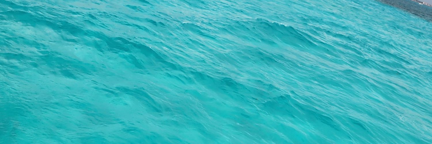 CenaFan2002's profile banner image