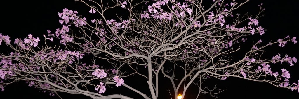 tasshhhh's profile banner image