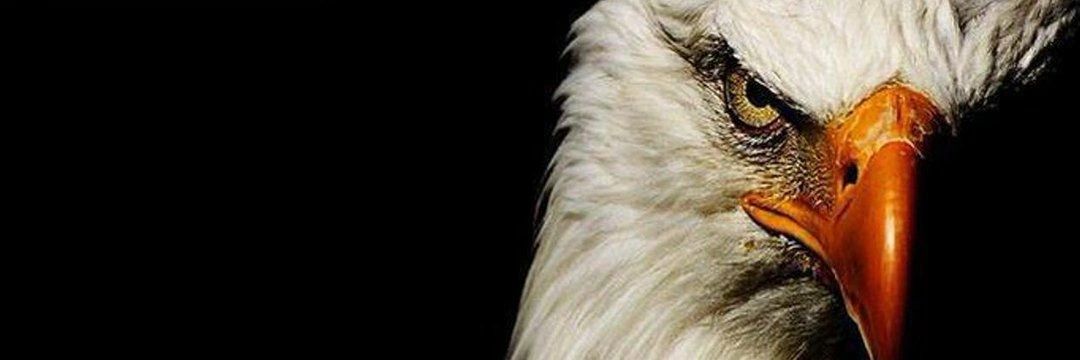 usaintezz's profile banner image
