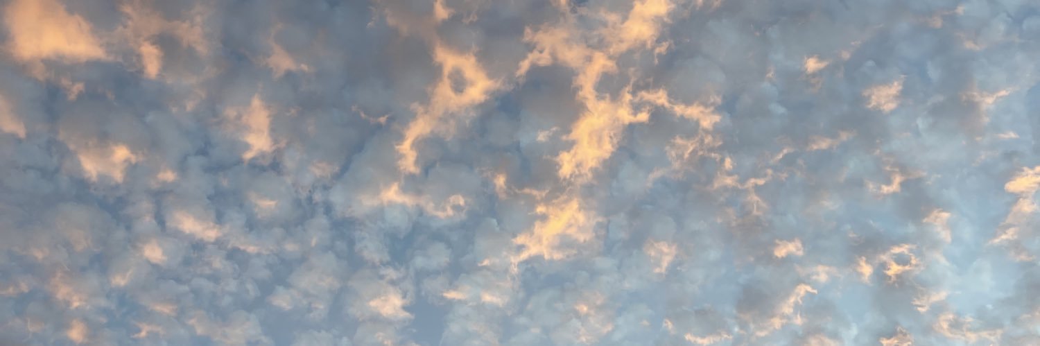 nicolekholder's profile banner image