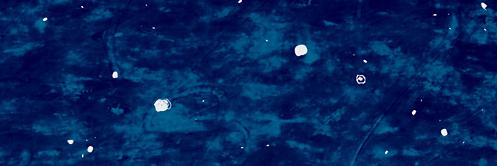 xlysh36's profile banner image