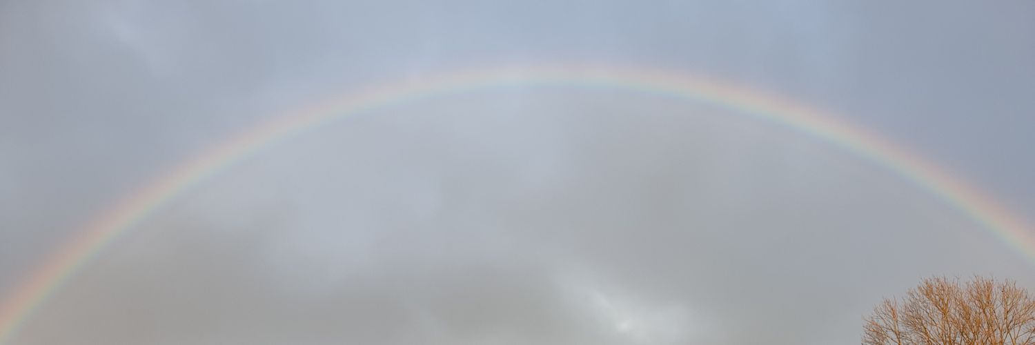 JenMds's profile banner image
