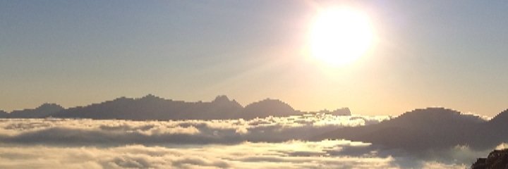 Gustavo Fites banner