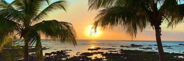 nvj29 Profile Banner