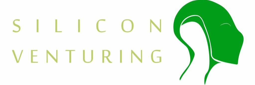 SiliconVenture's profile banner image
