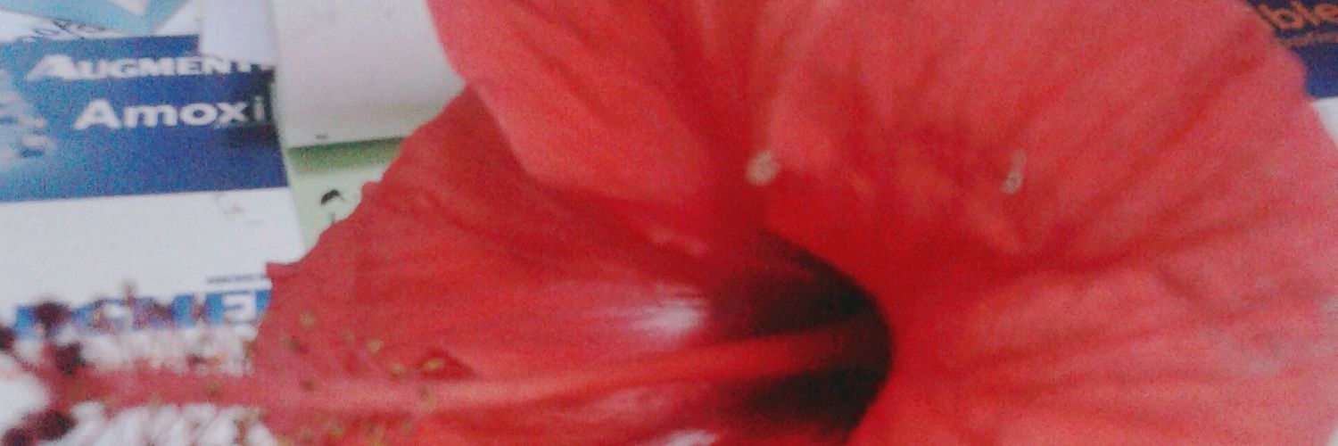 Meryem_Boukasba's profile banner image