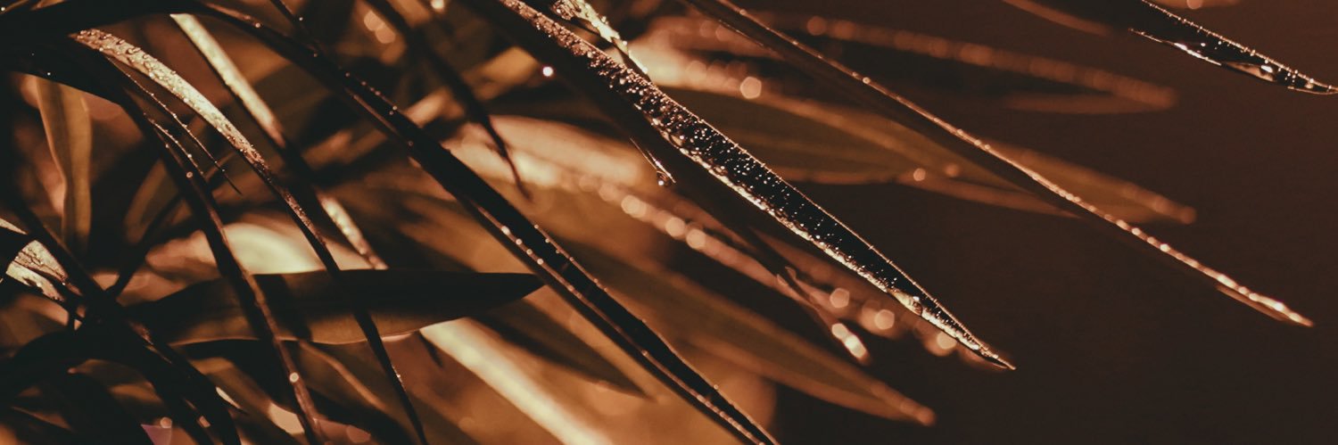 bauman3's profile banner image
