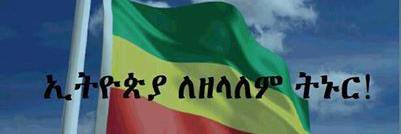 abaybahirdar's profile banner image