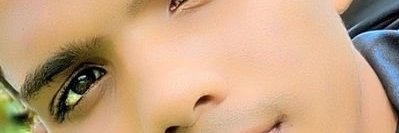 gaston zallocco banner